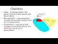Phylogenetics and Classification Concepts