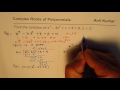 Finding Complex Roots of Polynomials