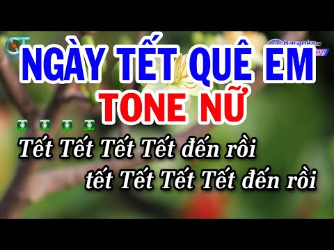 Karaoke Ngày Tết Quê Em Tone Nữ Bm || Nhạc Xuân Mới Nhất 2025 || Karaoke Đồng Sen