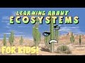 Exploring Diverse Ecosystems with Mr. DeMaio
