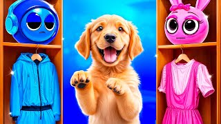 Construímos um Quarto Secreto para Pets! Azul vs Rosa