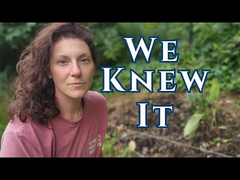 🚨 What They Just Admitted Tells You Everything