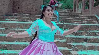 LUZ DANNY - Amorcito Pasajero (Zapateo 2025)