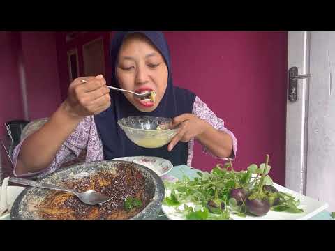 Makan lalaban mentah daun sirih Cina