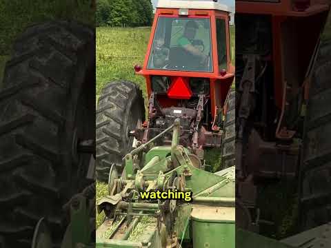 Brothers Helping Grandpa Bale Hay 🌾❤️