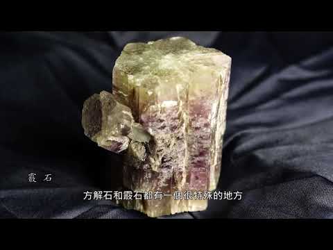 方解石與生物 - YouTube