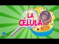 Cuestionario sobre las Células