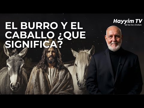 EL BURRO GRIS  Y EL CABALLO BLANCO