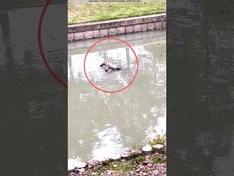 Is this floating on the water?