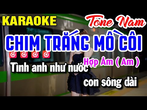 Karaoke Chim Trắng Mồ Côi Tone Nam (Am) Beat Hay 2025 | Huỳnh Lê