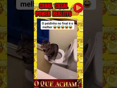 GATINHO FAZ COCÔ NO VASO  #casalpowerrealitys #amoraosanimais