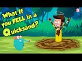 Understanding Quicksand Properties and Safety