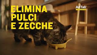 AdTab – “Amore ogni giorno” – 20” Gatto, Cane
