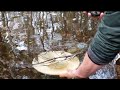 Vernal Pools and Their Importance