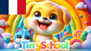Les Chiots Disparus | Livre Illustré en Français pour Enfants | Histoire du soir | tinyschool