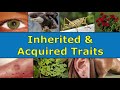 Exploring Inherited vs Acquired Traits
