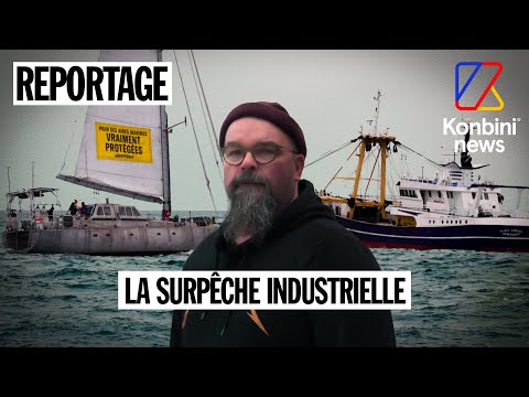 Comment la surpêche industrielle tue l’environnement et la pêche artisanale | Reportage