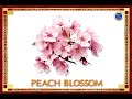 Peach Blossom Observation Quiz