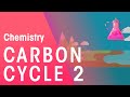 Understanding the Carbon Cycle and Human Impact