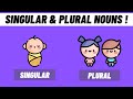 Noun Forms and Plurals
