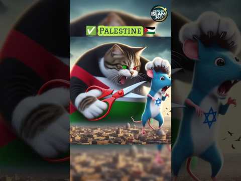 cat 🐈 is best hero for Palestine country 💯💪 #shorts #cat #palestine #trending #shortsfeed
