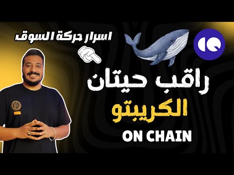 المؤشرات اللي بيستخدمها حيتان! العملات الرقمية | دليل قراءة السوق من الداخل