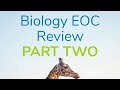 Biology EOC Review Insights