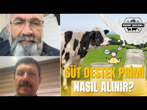 Süt Destek Primi Nasıl Alınır