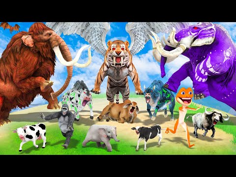 10 Mammoth Elephant vs 5 Zombie Bull African Elephant vs Giant Tiger Fight Cow Save by Woolly Mammot