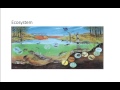 Ecological Concepts and Population Dynamics