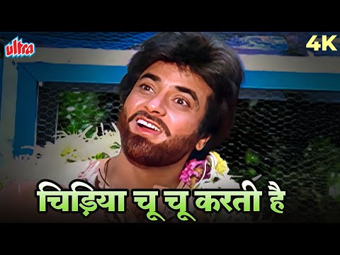 Kishore Kumar Ka Khubsurat Gaana - Chidiya Choo Choo Karti Hain 4K Video | Jeetendra | Jyoti 1981