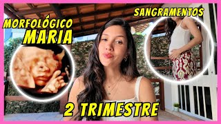 VLOG e RELATO GRAVIDEZ 2 TRIMESTRE e os PROBLEMAS que ENFRENTAMOS