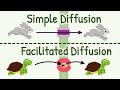 Diffusion Mechanisms and Characteristics