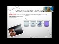 Exploring Cell Membrane Functions and Transport Mechanisms