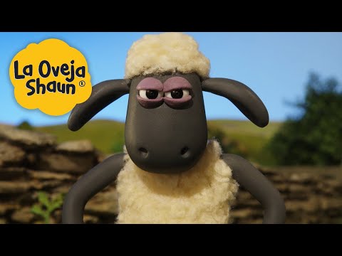 Oveja Shaun 🐑 Esta granja no es lo suficientemente grande para los dos. Dibujos animados para niños