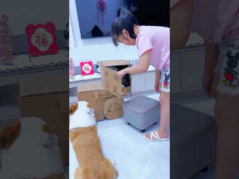 Levei Meu Gato e Meu Cachorro Para Passear de Moto! 🏍️😱