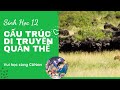 Quần thể và Di truyền học