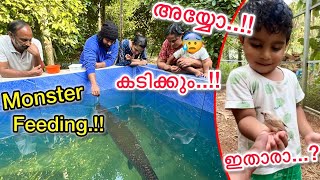 💥250 kg വരുന്ന മീനുകൾക്കും കിളികൾക്കും തീറ്റ കൊടുക്കുന്നത് കണ്ടോ..!!😰 Feeding All my Pets