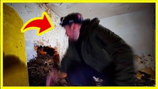 5 enquêtes PARANORMALES FOLLES dont vous ne CROIREZ PAS la fin