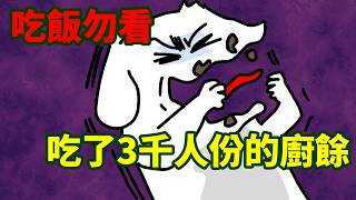 【微動畫】吃飯勿看!吃了3千人份的廚餘