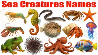 20 Water Animals Name in English for Kids | Learn Ocean Creatures in English & Marathi with Pictures