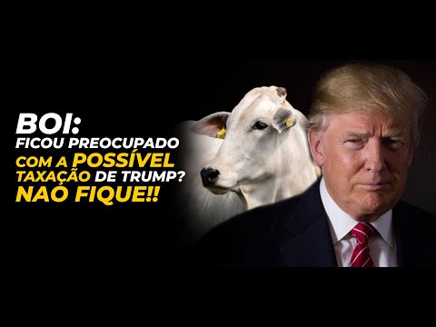 BOI: FICOU PREOCUPADO COM  A POSSÍVEL TAXAÇÃO DE TRUMP? NAO FIQUE!!