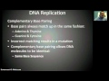DNA Replication Concepts and Processes