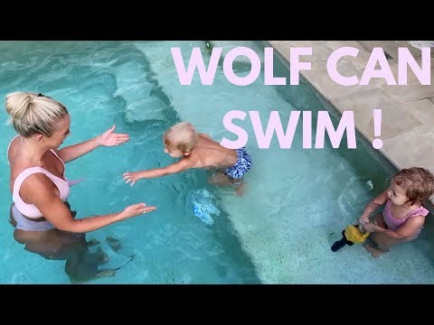 WOLF CAN SWIM | vlog