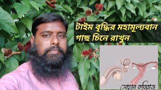 Discover the SECRETS of Sohan Kobiraj's Amazing Herbal Garden