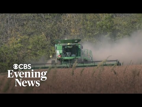 YouTube video thumbnail: U.S. Farmers in a Bind as Crop Prices Crash and Tariffs Drive Higher Equipment Costs