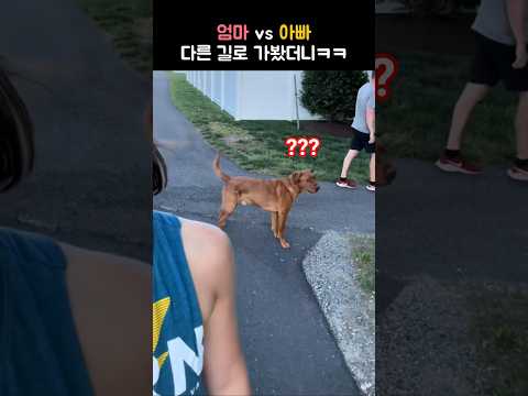 엄마 vs 아빠… 누굴 선택할까?ㅋㅋ