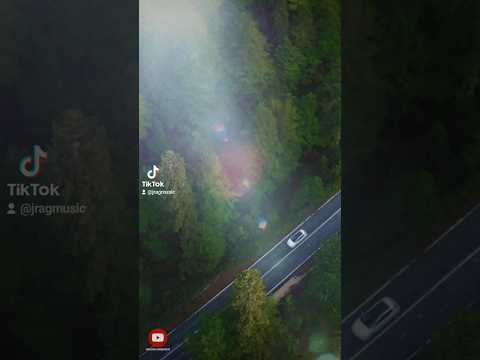 "Evergreen" | Teddy Swims