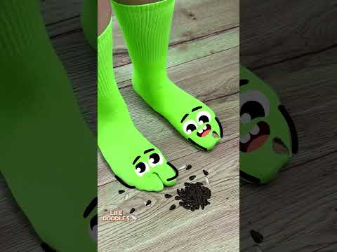 Life Doodles | Socks gnaw seeds #lifedoodles #shorts #animation #cartoon