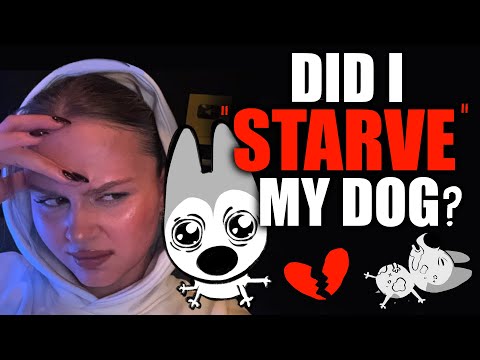 Did I Starve My Dog?